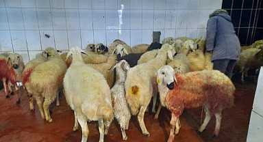 BESİCİLER YARDIMDA YARIŞTI