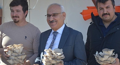 BAHŞILI MANTARLA ANILACAK