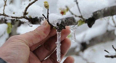 ÇİFTÇİLERE ZİRAİ DON UYARISI