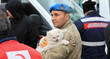 ÇINARCIK'TA DEPREMZEDE ELİF'İN KEDİSİYLE BULUŞMA ANI DUYGU DOLU ANLARA SAHNE OLDU