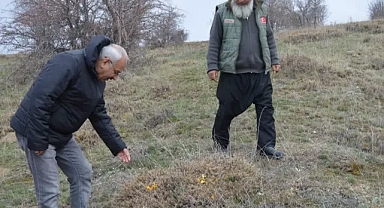 DİNEK DAĞINDA BAL ARILARI UÇUŞACAK