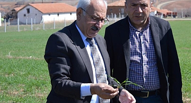 TARIM VE ORMAN VİZYONU