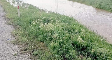 SEL EKİLİ ALANLARA ZARAR VERDİ
