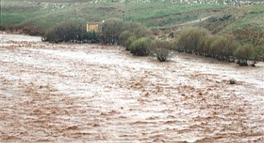 ARAÇLAR SELE KAPILDI
