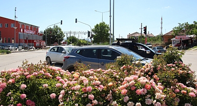 CADDE VE SOKAKLAR ÇİÇEK AÇIYOR