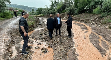 KAPLAN, SEL BÖLGESİNDE