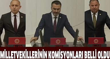 MİLLETVEKİLLERİNİN KOMİSYONLARI BELLİ OLDU