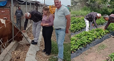 ÜRETİCİLERE DESTEK