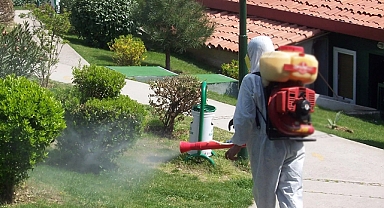 BELEDİYEDEN HAŞERELERE MÜDAHALE