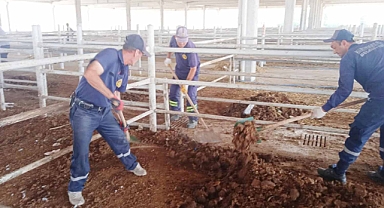 KURBAN PAZARI TEMİZLENDİ