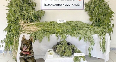KARAKEÇİLİ’DE UYUŞTURUCU ELE GEÇİRİLDİ