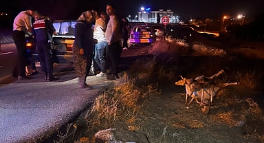 SEYİR HALİNDEKİ OTOMOBİL, KOYUN SÜRÜSÜNE DALDI