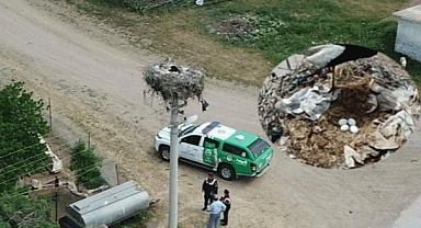 KIRIKKALE’DE GÖÇMEN LEYLEKLER 20 YILI AŞKIN KÖYÜN MİSAFİRİ