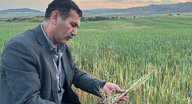 KIRIKKALE’DE HUBUBATTA % 70 ZARAR VAR