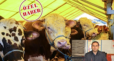 KURBAN PAZARI NE ZAMAN AÇILACAK KURBAN ALIRKEN NEYE DİKKAT EDİLMELİ