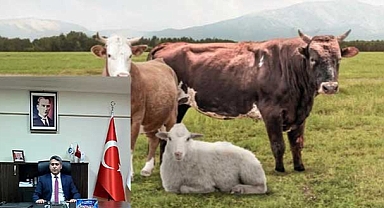 HUZUR VE MUTLULUK İÇİNDE NİCE BAYRAMLARA