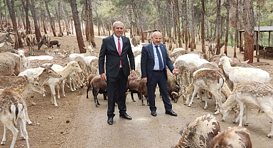 HAYVANAT BAHÇESİ’NE GAZİANTEP’TEN DESTEK