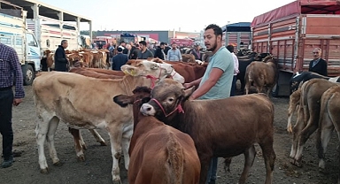 KIRIKKALE HAYVAN PAZARI YENİLENİYOR