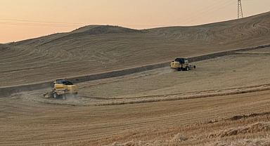 KIRIKKALE’DE ARPA HASADI BAŞLADI
