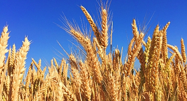 ÜLKER, KIRIKKALE’DE ONARICI TARIM PROJESİ’Nİ BAŞLATTI