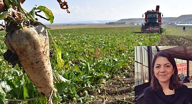 BALIŞEYH’İN VERİMLİ TOPRAĞI ÇORUM’A AKIYOR