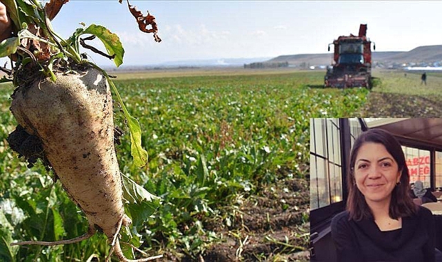 BALIŞEYH’İN VERİMLİ TOPRAĞI ÇORUM’A AKIYOR