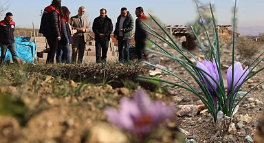 KIRIKKALELİ HANIMLAR ALTINLARINI TOPLAMAYA BAŞLADI