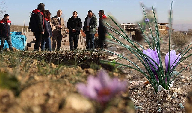 KIRIKKALELİ HANIMLAR ALTINLARINI TOPLAMAYA BAŞLADI