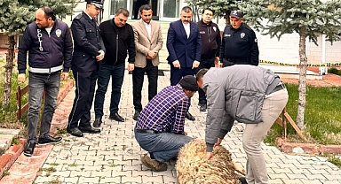 İŞ İNSANI NURETTİN ŞEN: KAZANIN VE BELANIN DEFİ İÇİN KURBAN KESTİ
