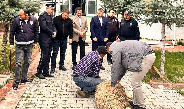 İŞ İNSANI NURETTİN ŞEN: KAZANIN VE BELANIN DEFİ İÇİN KURBAN KESTİ