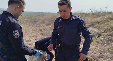 POLİS VE JANDARMA DAĞLARI, TEPELERİ TEMİZLEDİ