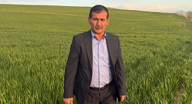 YAĞIŞLAR NEDENİYLE EKİLİ ALANLARDA PAS HASTALIĞI RİSKİ OLUŞTU