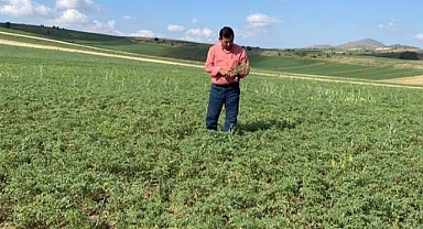 KIRIKKALE'DE NOHUTTA VERİM UMUDU: BAŞKAN ÖZTÜRK'TEN ÜRETİCİLERE MÜJDE