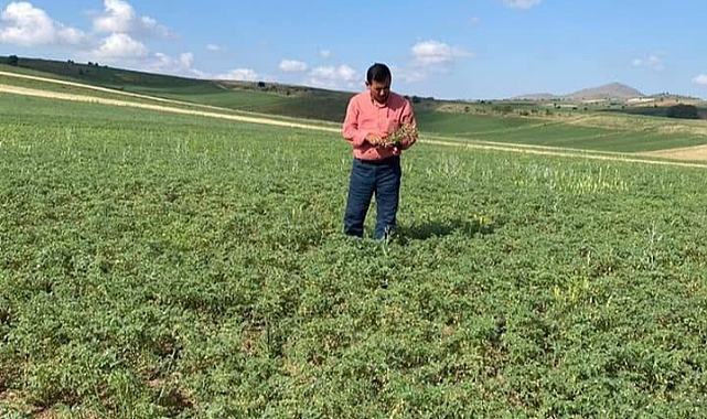 KIRIKKALE'DE NOHUTTA VERİM UMUDU: BAŞKAN ÖZTÜRK'TEN ÜRETİCİLERE MÜJDE